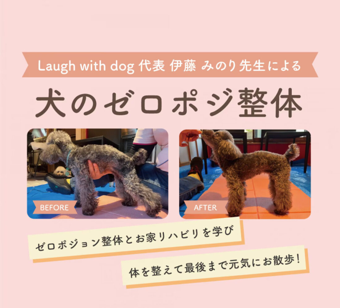 犬のゼロポジ整体　6月4日分予約開始！