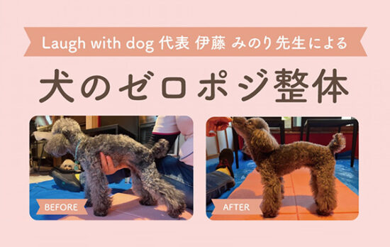 7月の犬のゼロポジ整体のご参加のお礼。
