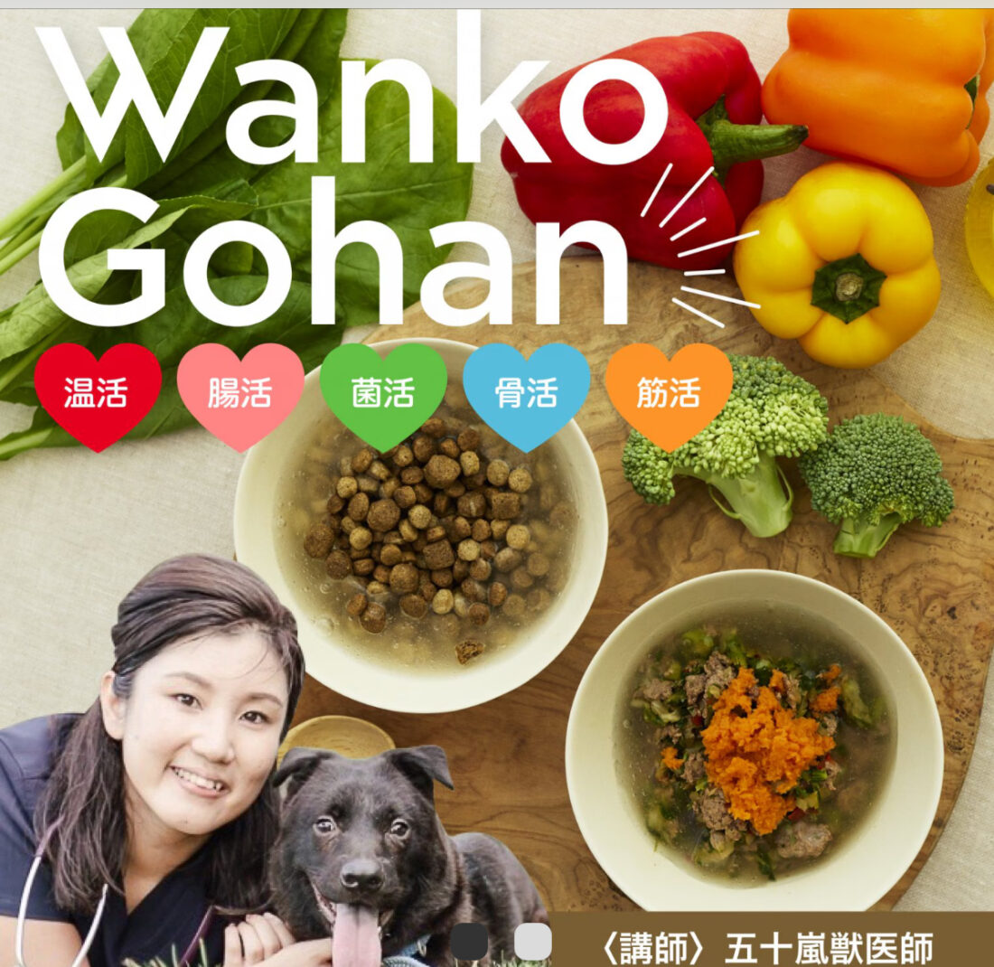 🐾 幸せわんこ ご飯講座：秋編（全2回シリーズ） 🐾