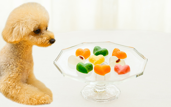 サプリDEスープ